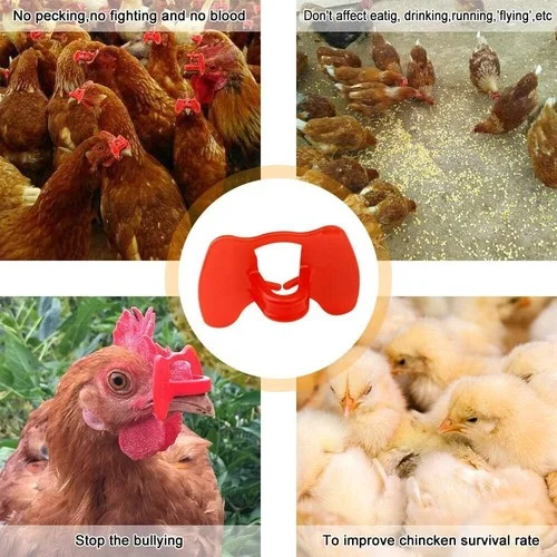 100PCS No Fighting Pinless Chicken Peepers Pheasant Poultry Blinders Spectacles 3