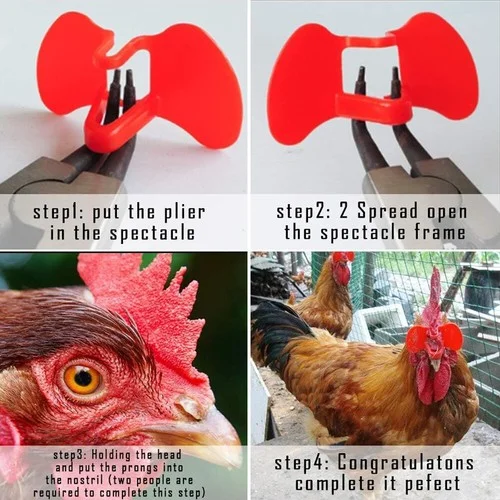 100PCS No Fighting Pinless Chicken Peepers Pheasant Poultry Blinders Spectacles 4