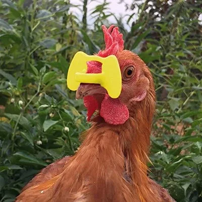 41 Pcs Pinless Chicken Peepers Eyeglasses Pheasant Poultry Blinders Anti Pecking 4