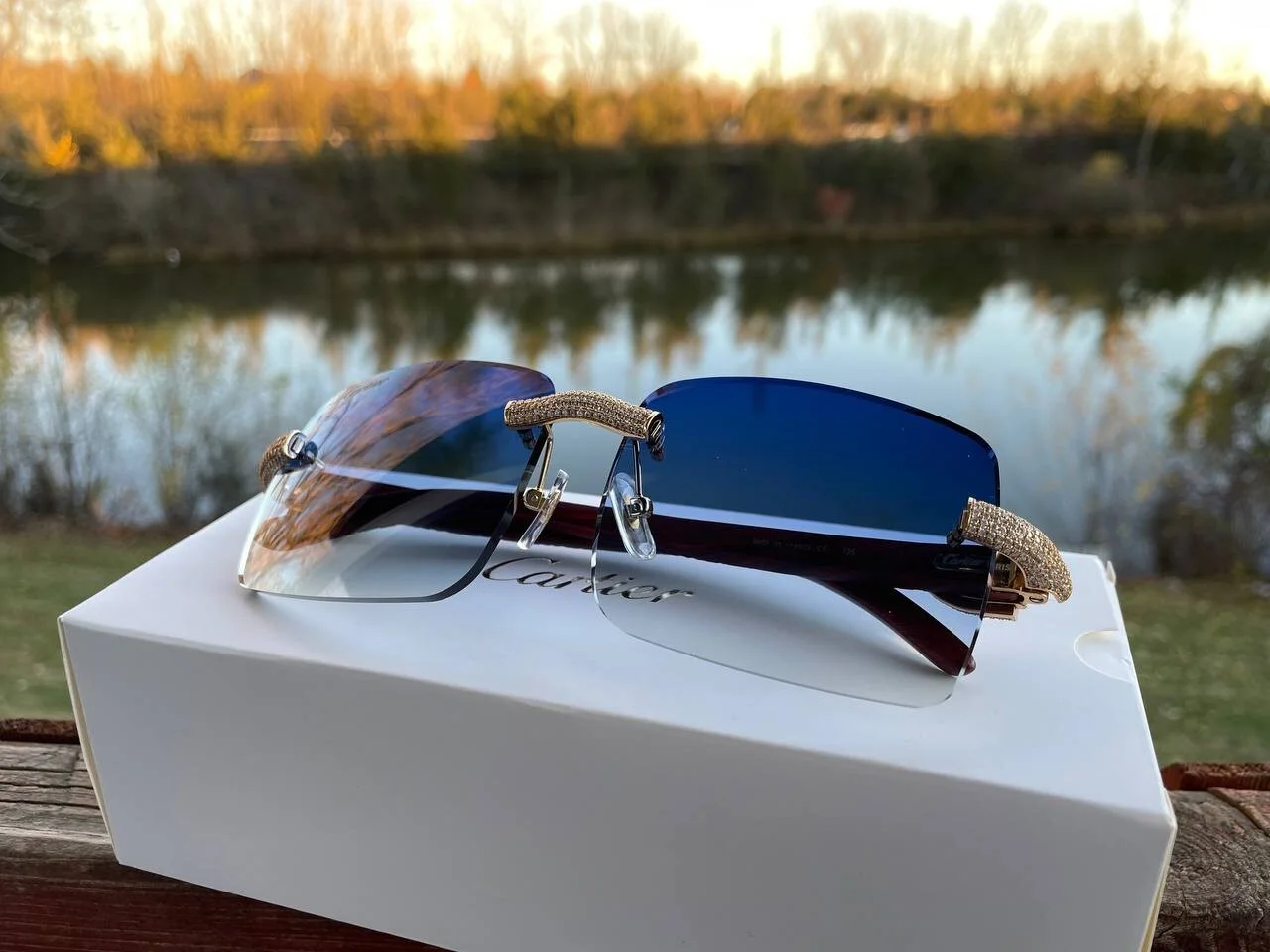 Authentic Cartier Custom Micropaved Wood Sunglasses Eyeglasses Buffs Buffalo