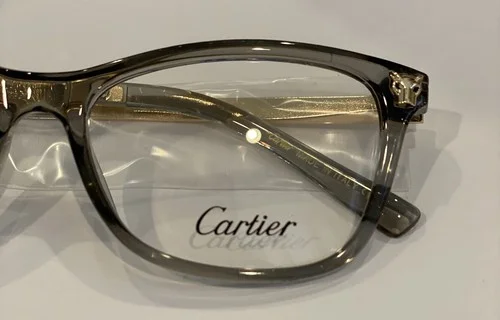 Cartier plastic Gray 52/17/140 Eyeglass Frame With Eyeglass Case 3