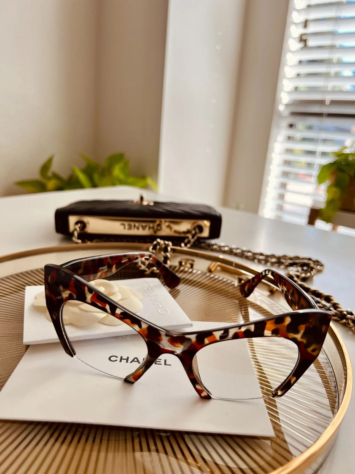 Cat Eye 3