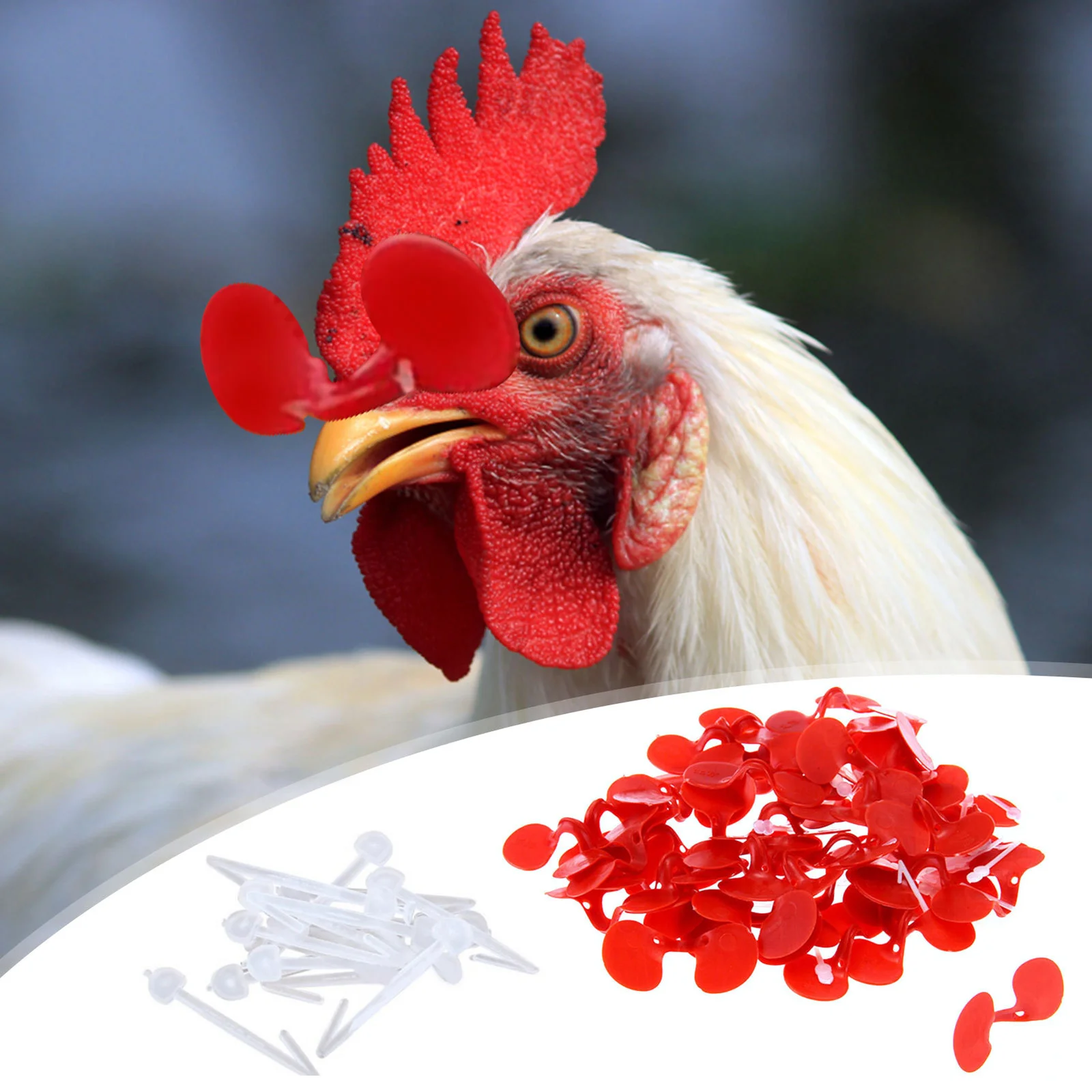 Chicken Anti-Pecking Eyes Glasses With Bolt, Poultry Sight Blocking Spectacles 2