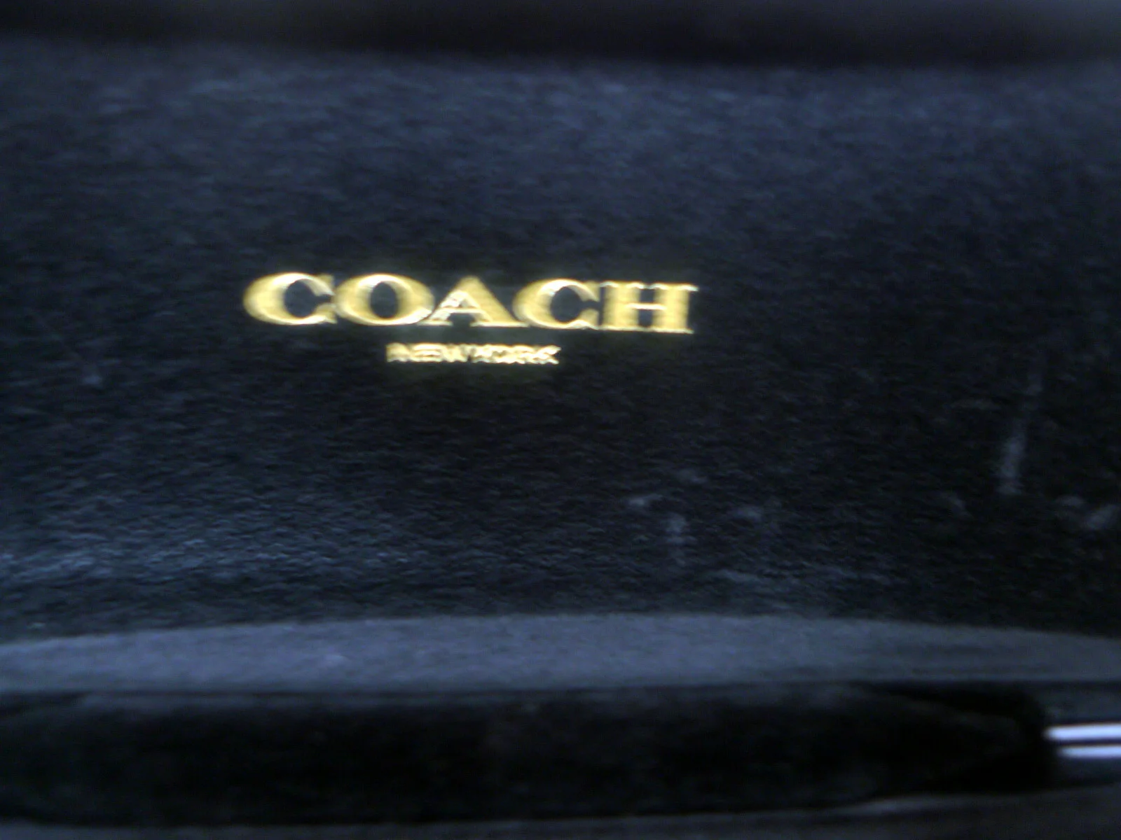 Coach Sunglasses Eyeglasses Case Soft Shell Leather Padded Travel Carrier cloth 2