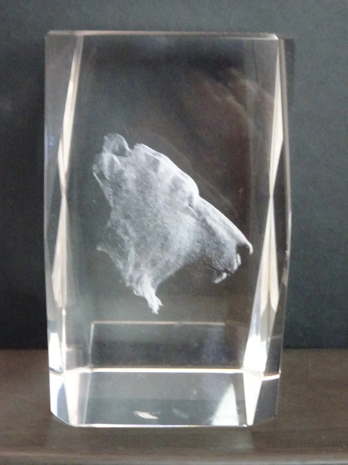 CORNING MUSEUM OF GLASS- GLASS Bear Paperweight made with bubbles 360 view 2