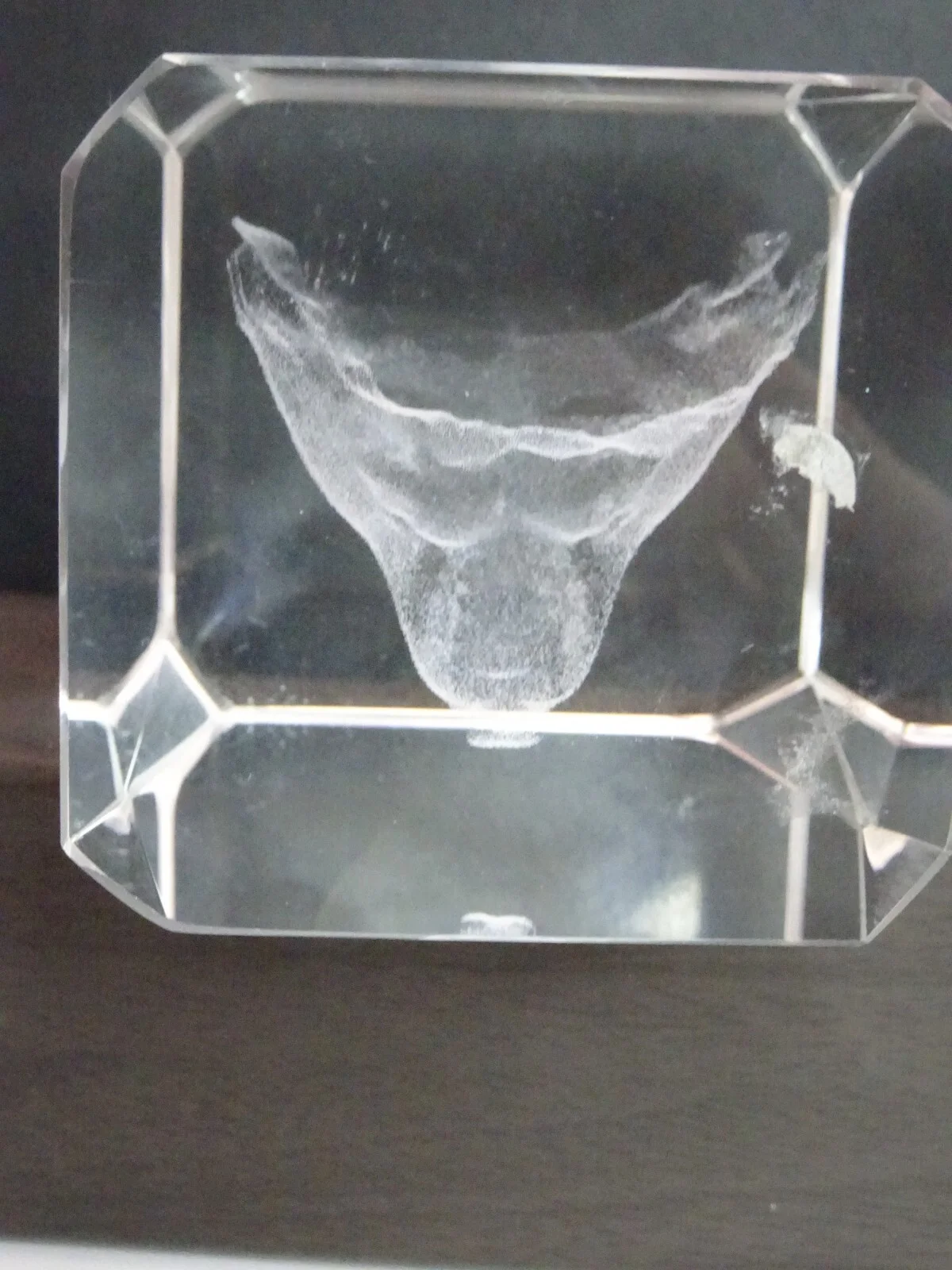 CORNING MUSEUM OF GLASS- GLASS Bear Paperweight made with bubbles 360 view 3