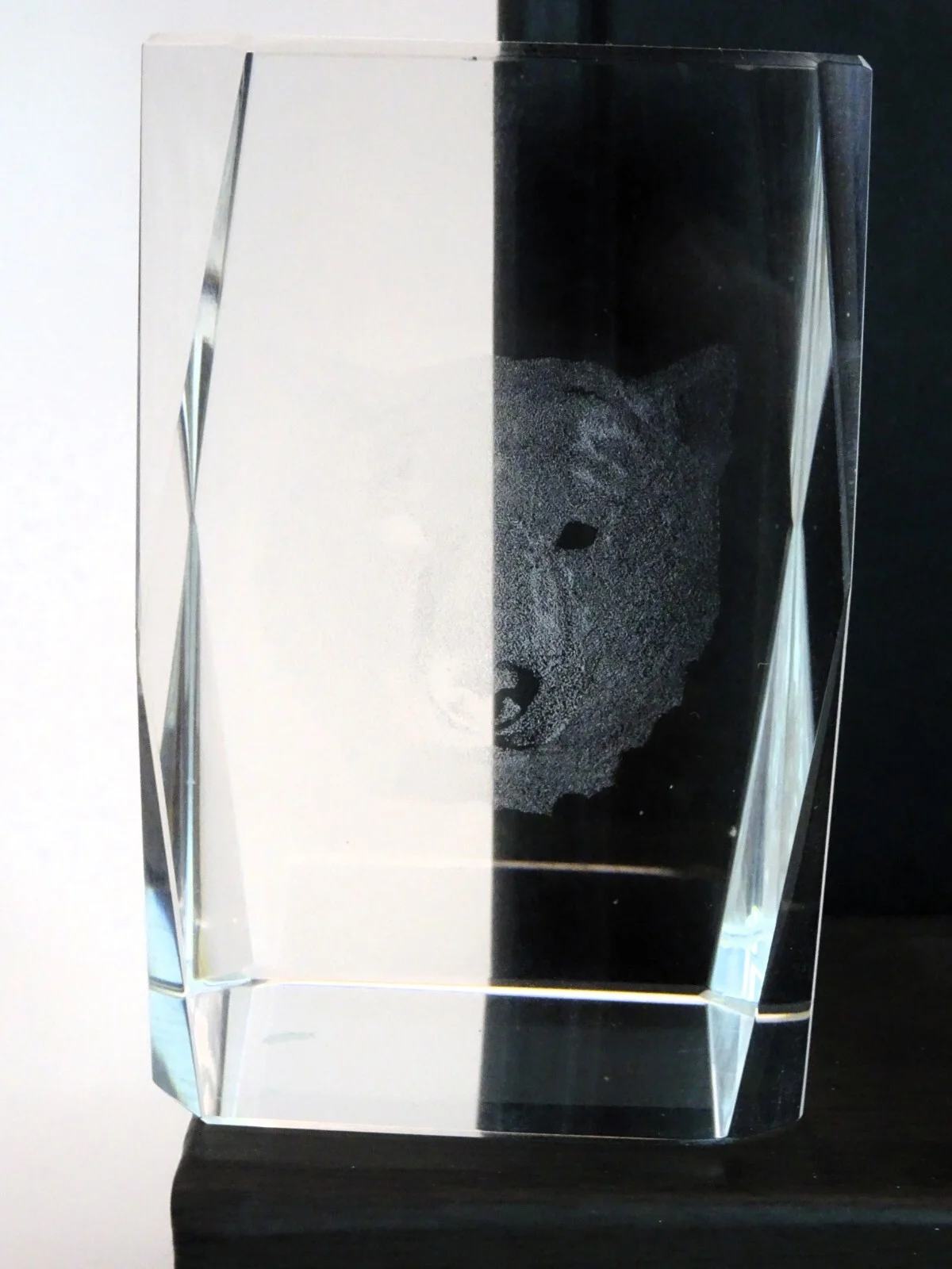 CORNING MUSEUM OF GLASS- GLASS Bear Paperweight made with bubbles 360 view 4