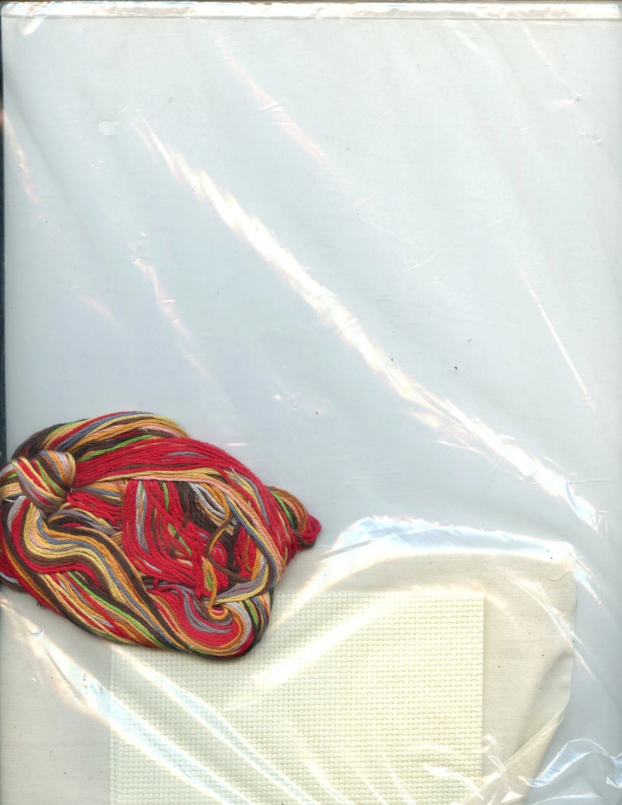 Eye Glass Holder Cross Stitch Kit Kitty Collection Candamar Designs #50968 NEW 2