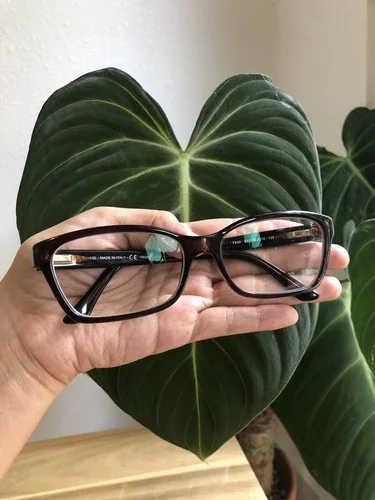 Fendi Eyeglasses Frames F939 Brown Rectangular Logos 53-15 210 135