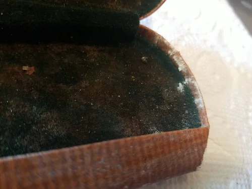 Ford & Henry Optometrists Vintage Eye Glass Case Newport, TN Tennessee 4