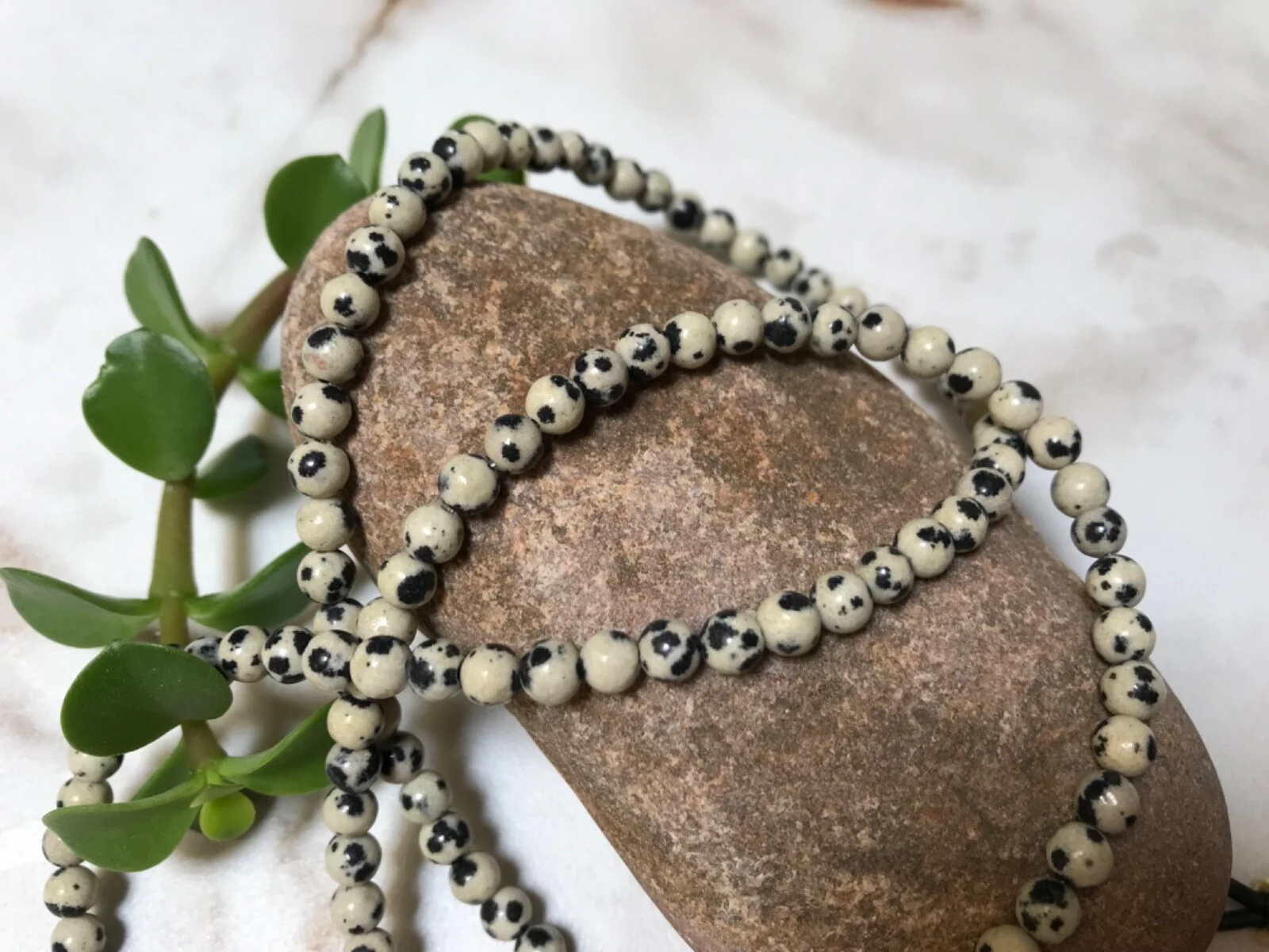 Genuine 4mm Dalmatian Spot JASPER *Stone of Joy* 27” Beaded Eyeglass Chain USA 4