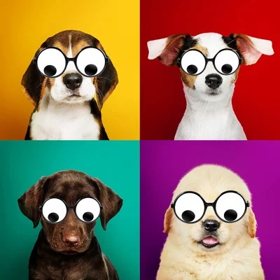 Googly Eyes Glasses Funny Shaking Costume Eye Glasses Novelty Shades Giant Googl 4