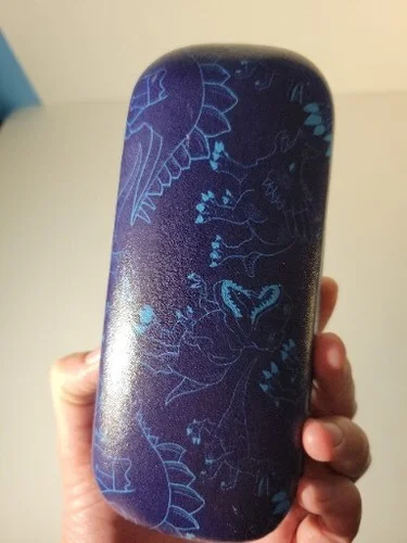 Kids Blue Hard Shell Dinosaur Themed Glasses Case 3