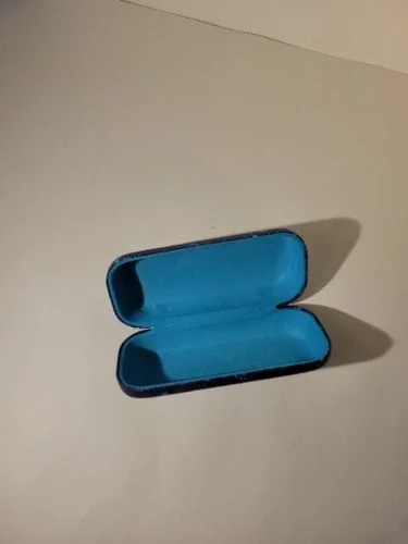 Kids Blue Hard Shell Dinosaur Themed Glasses Case 4