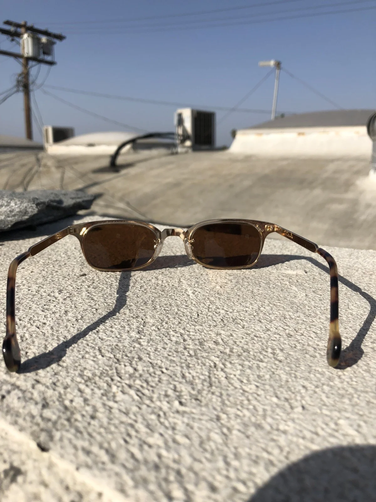 LA Eyeworks Vintage Topeka Sunglasses 2