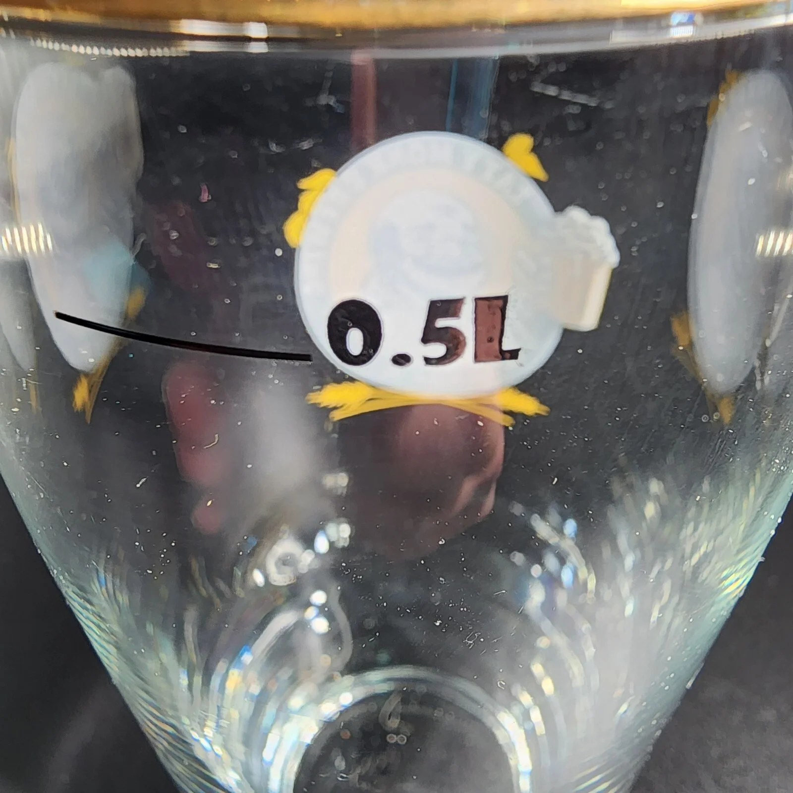 Lazy Monk Brewing LLC Pub Pint Glassware Gold Rim Eau Claire WI Bier Hall Garden 4