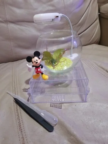Mini 4 Inch Glass Bowl Beta Fish Tank With Storage Base Led Light Melman Deco