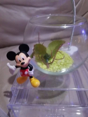 Mini 4 Inch Glass Bowl Beta Fish Tank With Storage Base Led Light Melman Deco 2