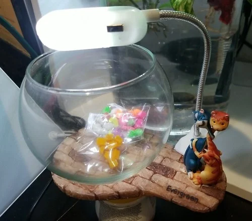 Mini Glass Bowl Beta Fish Tank With Led Light And 2 Cats Deco Included Rocks N 4