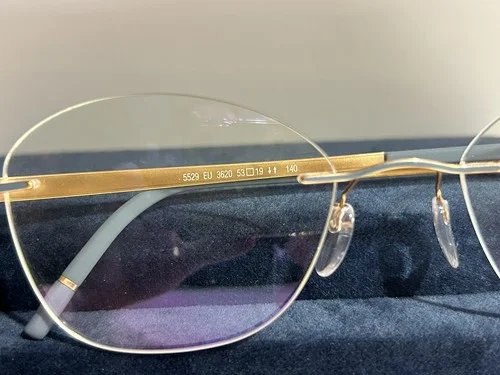 New Silhouette Eyeglass Frames MOMENTUM 5529 EU 3620 53-19 4
