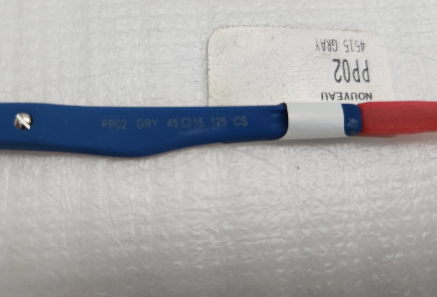 Nickelodeon Kid Eyeglasses Frame Paw Patrol PP02 45[]15-125 Gray Blue Red - F S 3