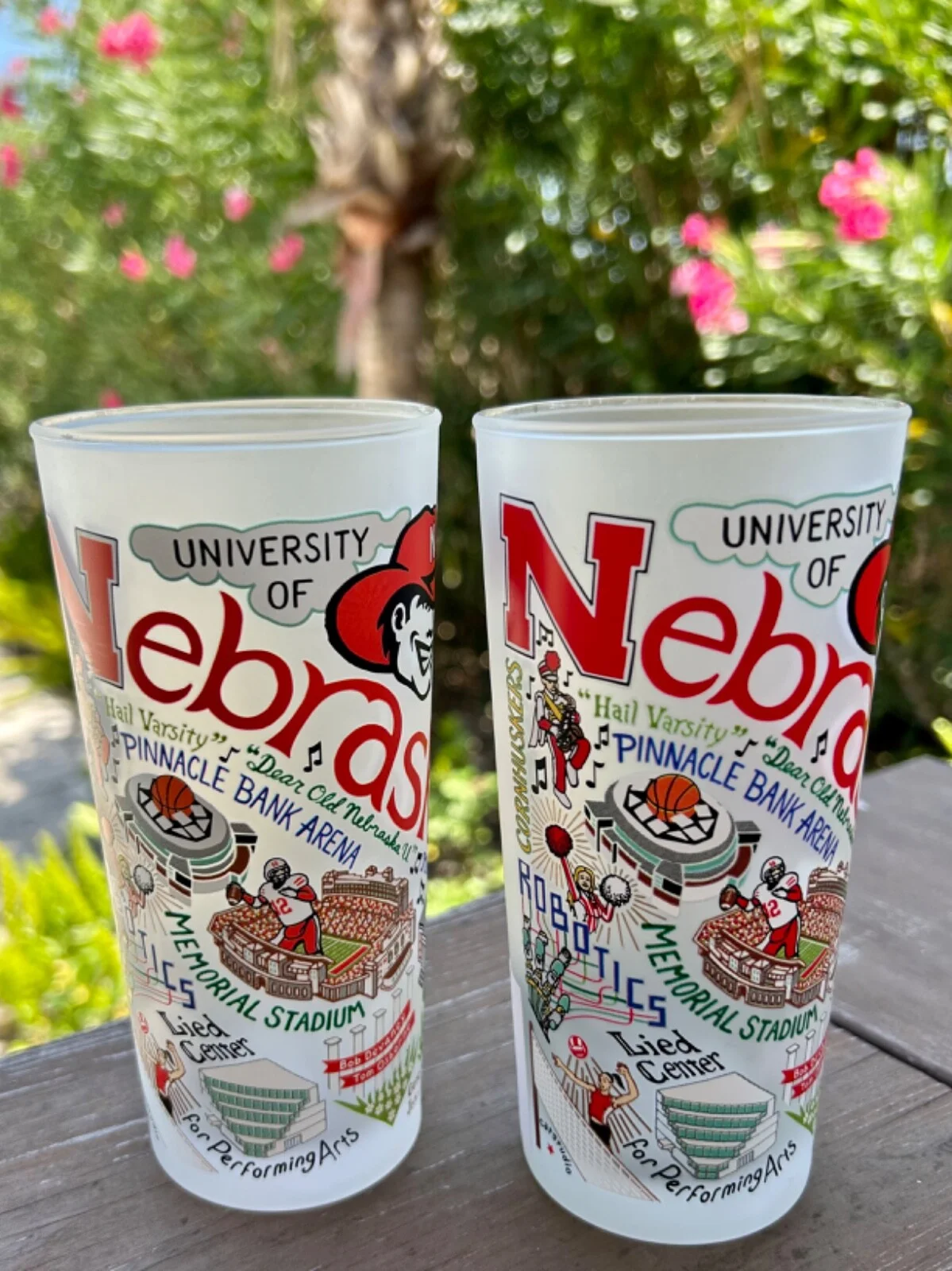 NWT UNIVERSITY OF NEBRASKA Cornhuskers Football Drinking Glasses Artsy Unique