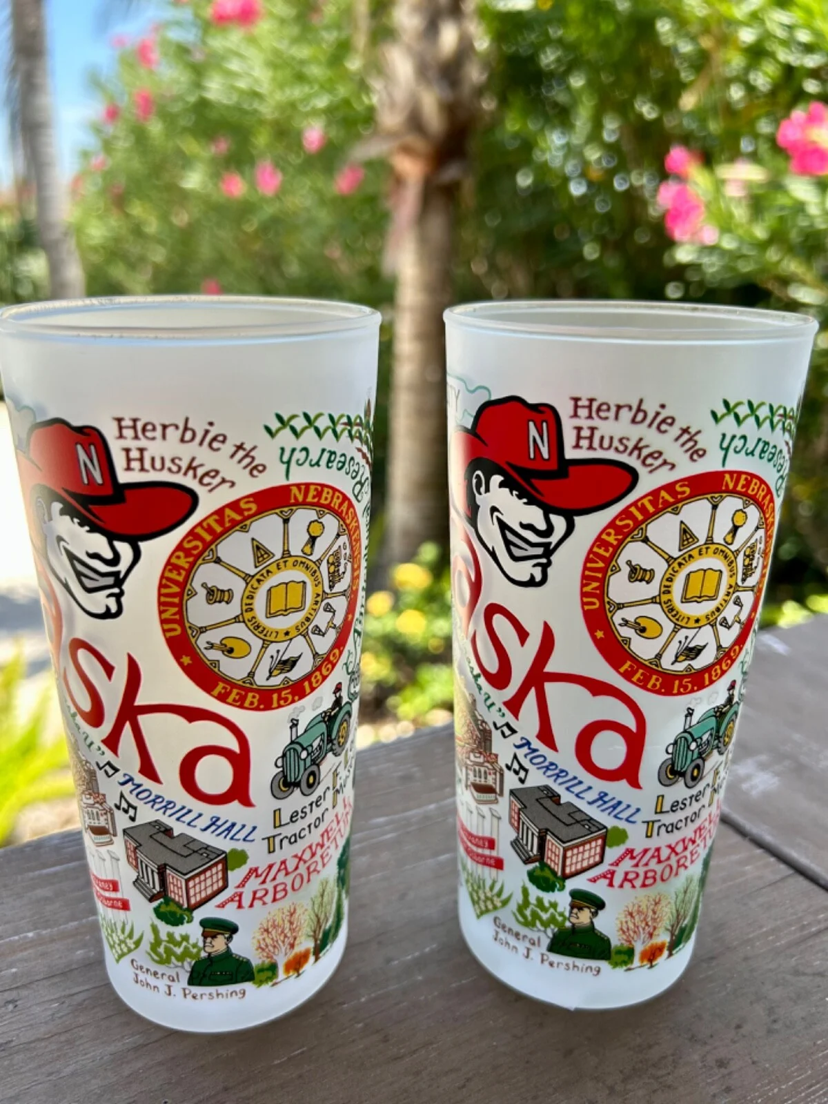NWT UNIVERSITY OF NEBRASKA Cornhuskers Football Drinking Glasses Artsy Unique 2