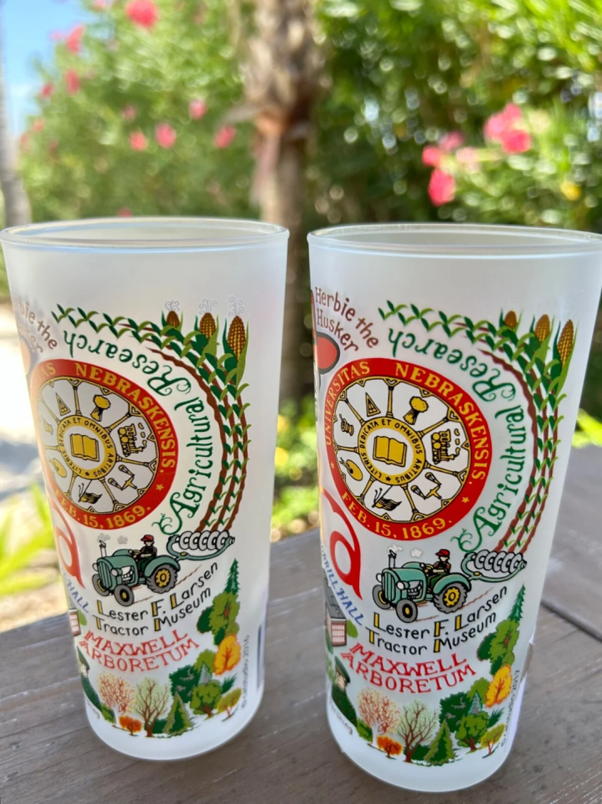 NWT UNIVERSITY OF NEBRASKA Cornhuskers Football Drinking Glasses Artsy Unique 3
