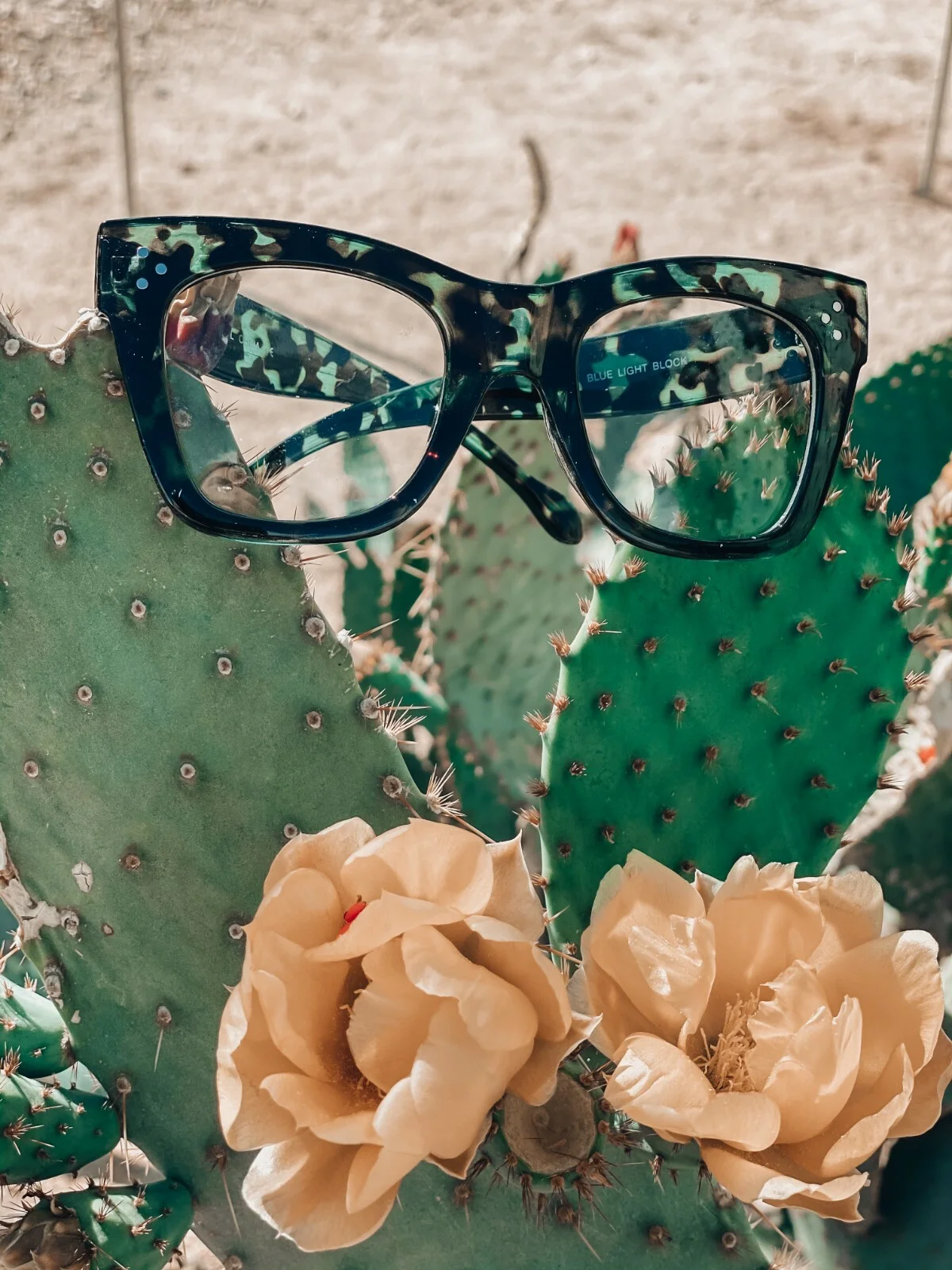 Oversized CATHERINE Women Eyeglasses Shadz SQUARE NERD removable lenses 2