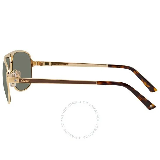 Santos de Cartier - CT0102S 3