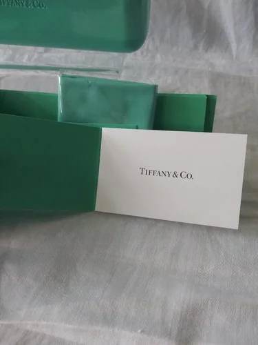Tiffany & Co Eyeglass Sunglasses Case with Cleaning Cloth Magnetic 4