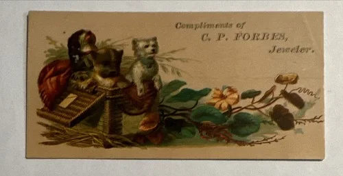 VICTORIAN JEWELERS TRADE CARD CP FORBES WATCHES SPECTACLES GREENFIELD MA B17 3